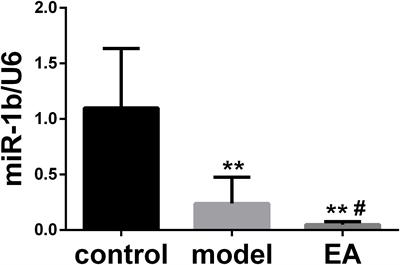 Electroacupuncture Promoted Nerve Repair After Peripheral Nerve Injury by Regulating miR-1b and Its Target Brain-Derived Neurotrophic Factor